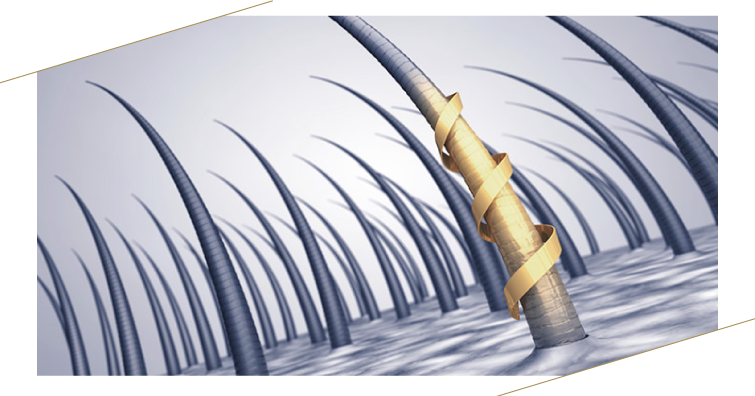 PRP毛髪組織再生治療